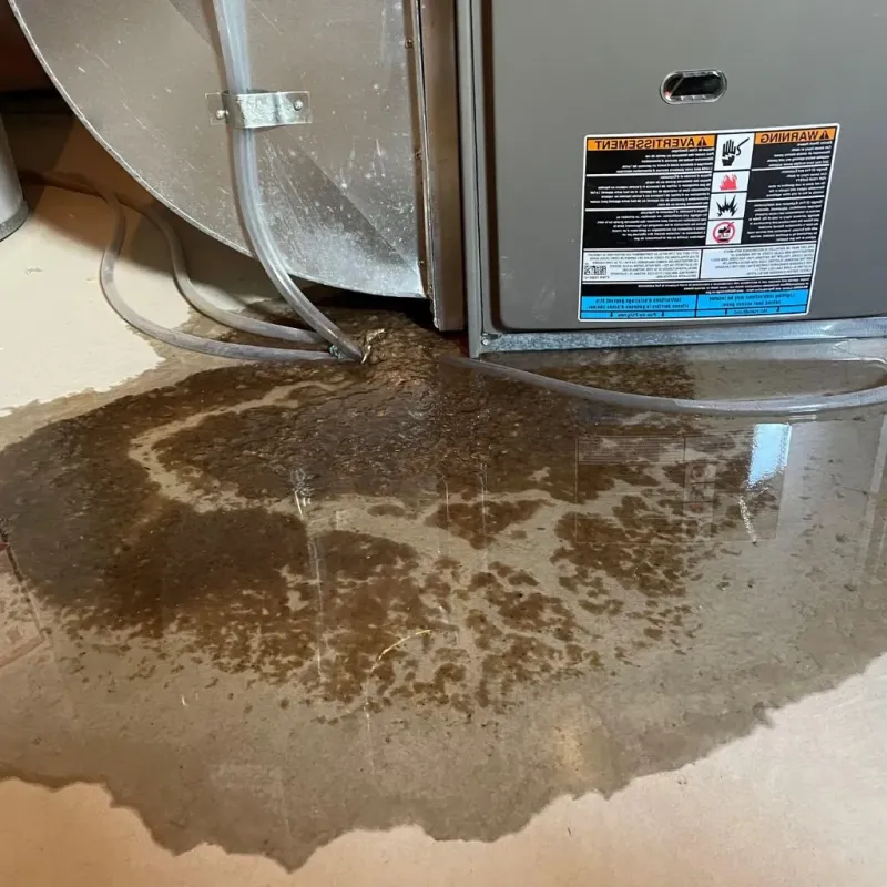 Pipe Burst and Leak Restoration in Audubon Park, KY